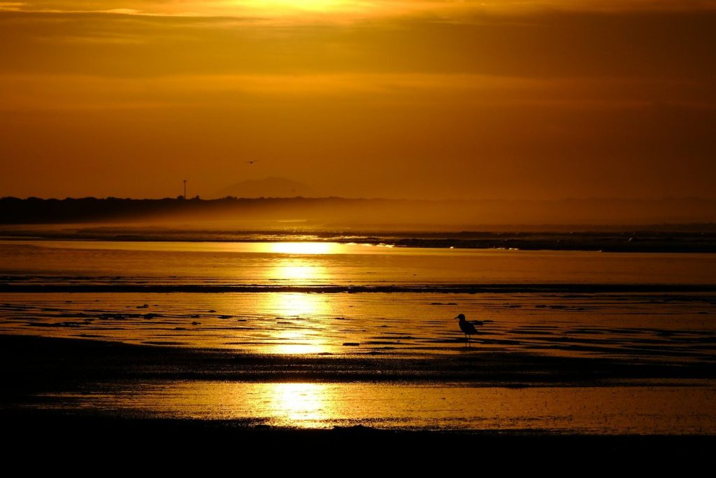 Te Pua Noa Noa - A Living Story Through Ori Tahiti